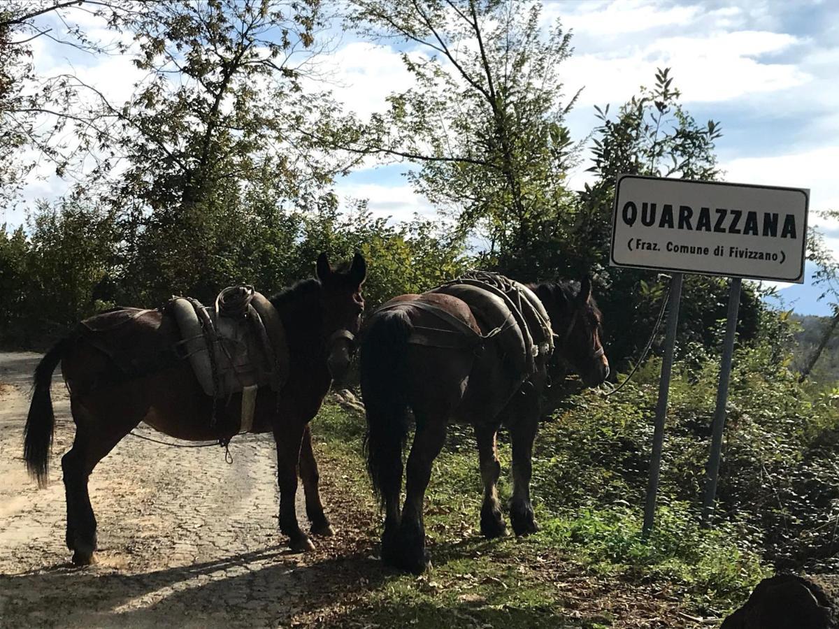 Agriturismo B&B Luna Di Quarazzana In Fivizzano Tuscany Extérieur photo